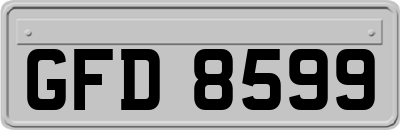 GFD8599