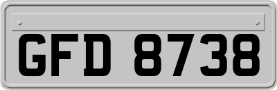 GFD8738