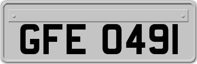 GFE0491