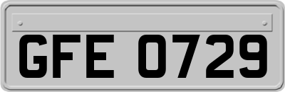 GFE0729