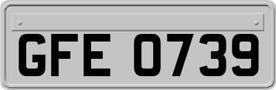 GFE0739