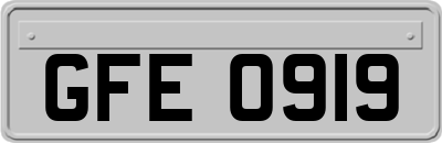 GFE0919