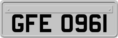 GFE0961