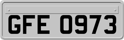 GFE0973