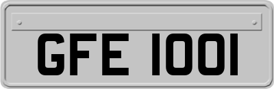 GFE1001