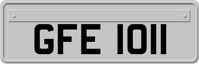 GFE1011