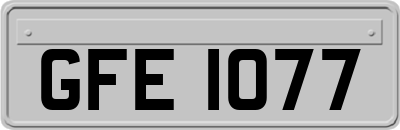 GFE1077