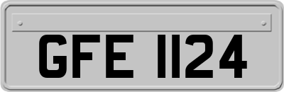 GFE1124