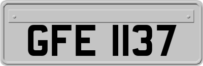 GFE1137