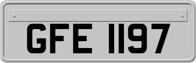 GFE1197
