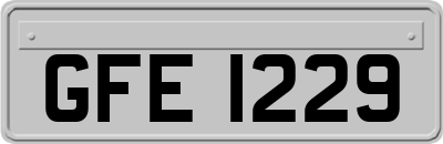 GFE1229