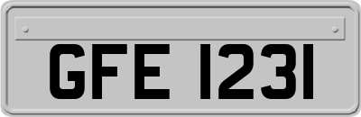 GFE1231