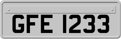 GFE1233