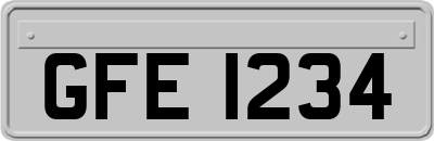 GFE1234