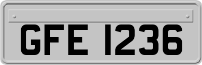 GFE1236
