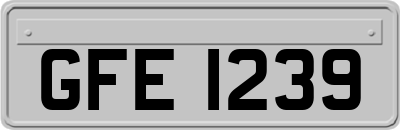 GFE1239