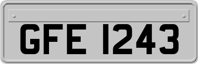 GFE1243