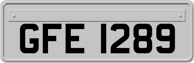 GFE1289