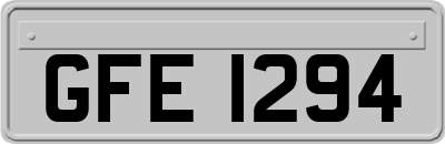 GFE1294