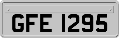 GFE1295