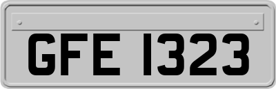 GFE1323