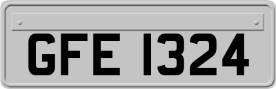 GFE1324