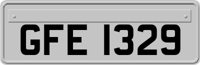 GFE1329