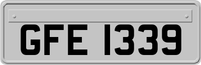 GFE1339