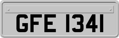 GFE1341