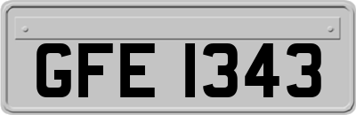 GFE1343