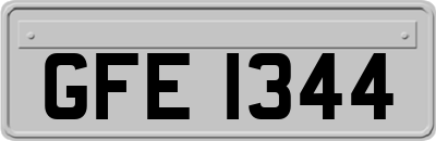 GFE1344