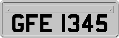 GFE1345
