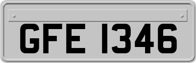 GFE1346