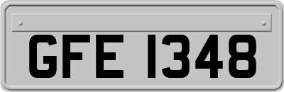 GFE1348