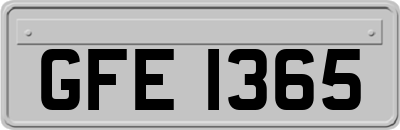 GFE1365