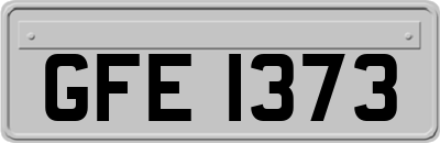 GFE1373