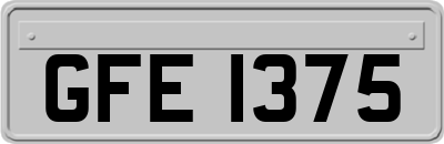 GFE1375