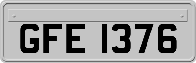GFE1376