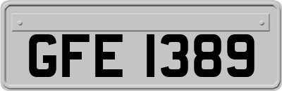 GFE1389