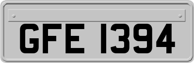 GFE1394