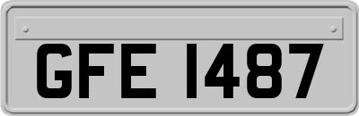 GFE1487
