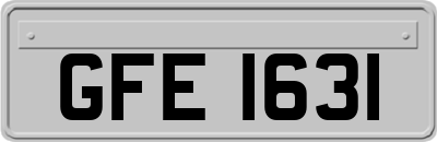 GFE1631