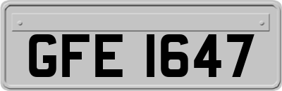 GFE1647