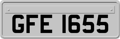 GFE1655