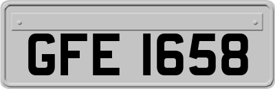 GFE1658