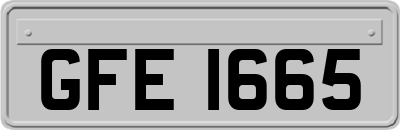 GFE1665