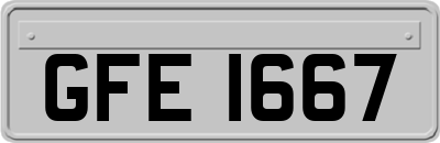 GFE1667