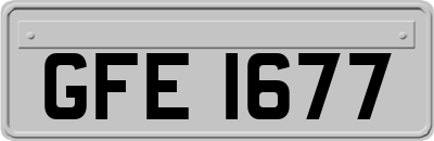 GFE1677