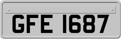 GFE1687
