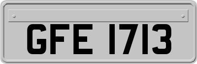GFE1713